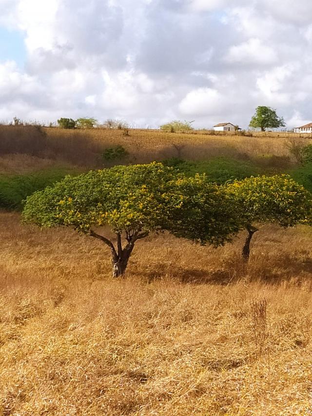 Atrações Naturais
